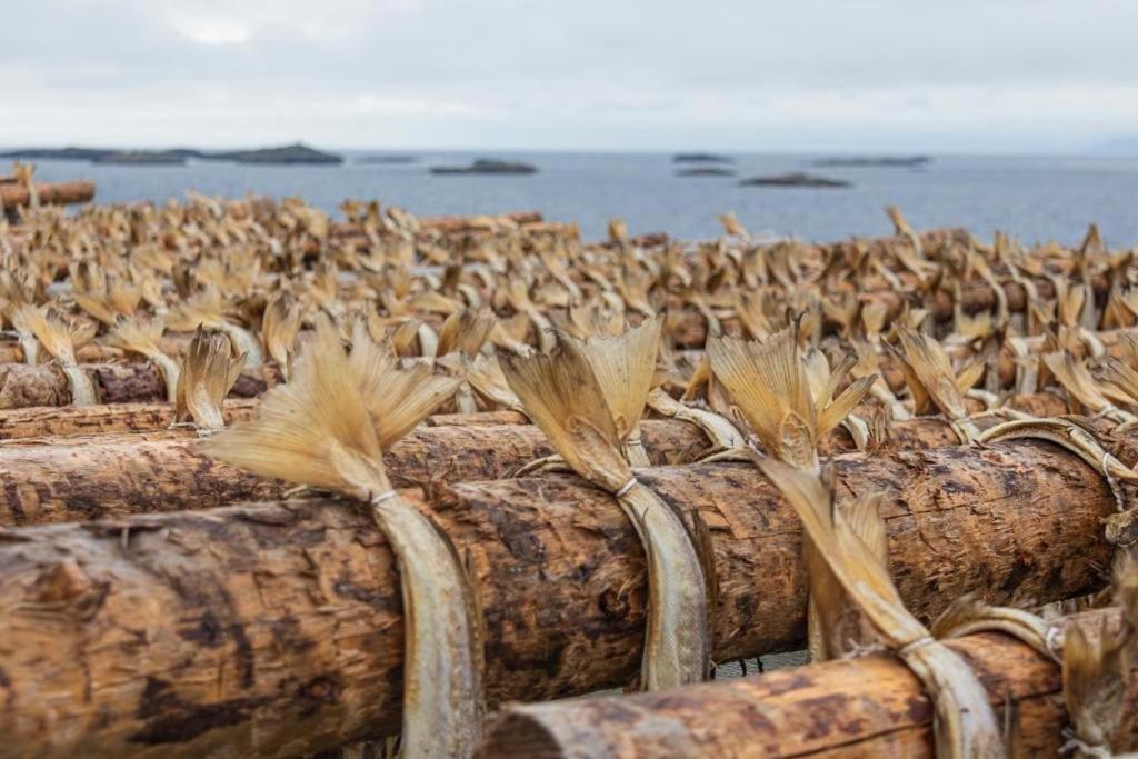 Lofoten Holiday Kabelvåg Buitenkant foto